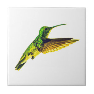 Carreaux en céramique avec design colibri