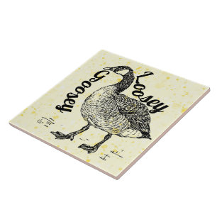 Carreaux en céramique Loosey Goosey