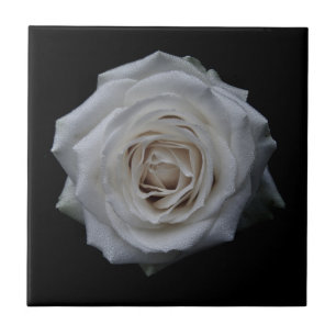 Carreaux en céramique rose blanche