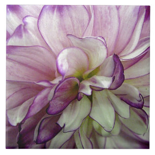 Carreaux en céramique violet Dahlia