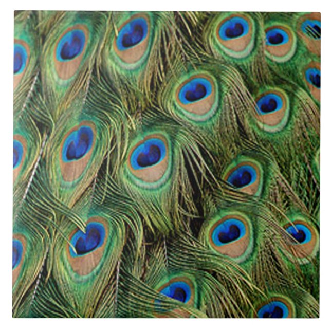 Carreaux Peacock (Devant)