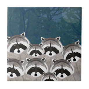 Carreaux Raccoons