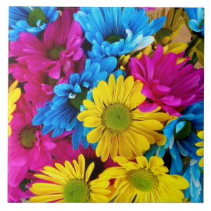 carreaux rouge, bleu et jaune