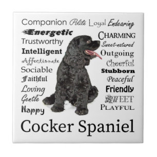 Carreaux Spaniel Cocker