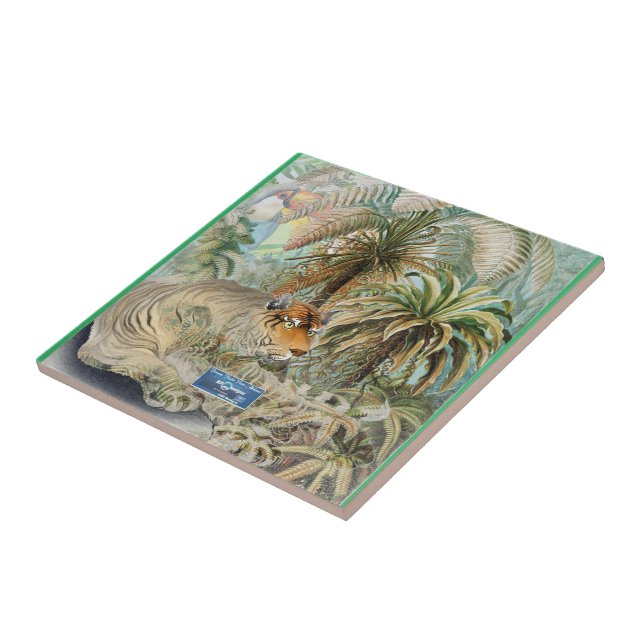 Carreaux vert clair (fièvre de la jungle) RFPMDesi (Côté)