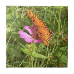 Carreaux Zinnia et Papillon