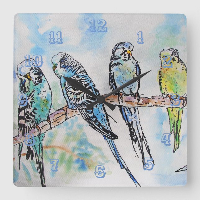 Carrée Budgies Budgie Budgerigar Bird Room Horloge (Recto)