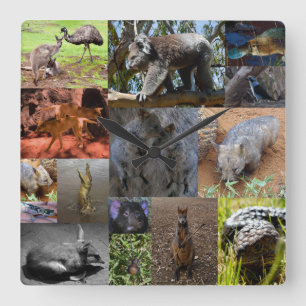 Carrée Collage de photos d'animaux australiens, Horloge m
