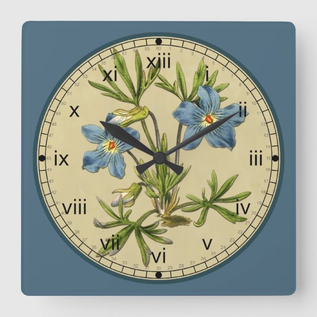 Carrée Curtis Botanique Bleu Horloge en 3 styles (Recto)