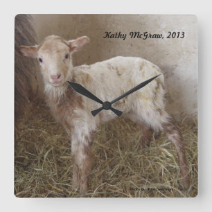 Carrée Horloge : agneau KathyMcGraw