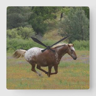 Carrée Horloge Appaloosa