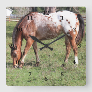 Carrée Horloge, Appaloosa Horloge