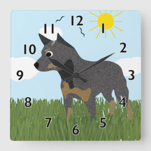 Carrée Horloge australienne de chien de bétail de bande