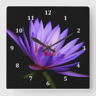 Carrée Horloge carré, côté foncé de la Lys d'eau violette