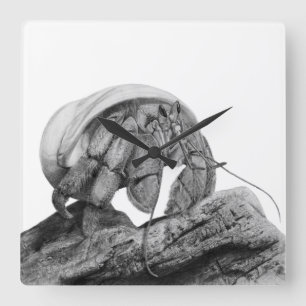 Carrée Horloge Compressus du crabe Hermite équatorien Coe