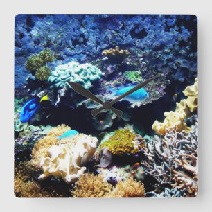 Carrée Horloge de carré d'aquarium d'eau de mer