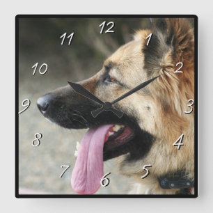 Carrée Horloge de carré de chien de berger allemand