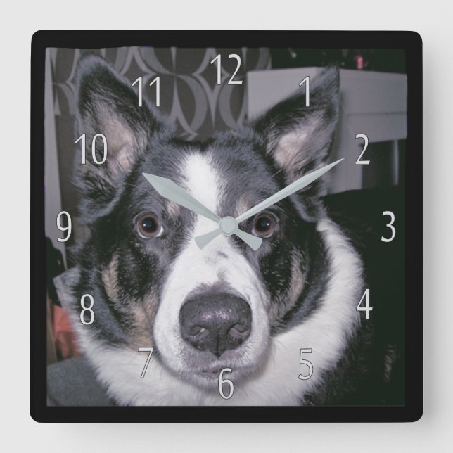 Carrée Horloge de chien personnalisée (Recto)