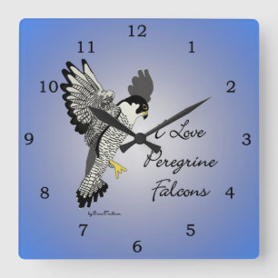Carrée Horloge de faucon pérégrin