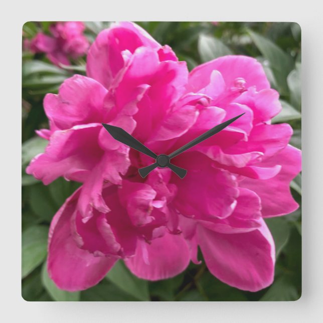 Carrée Horloge de Peony (Recto)