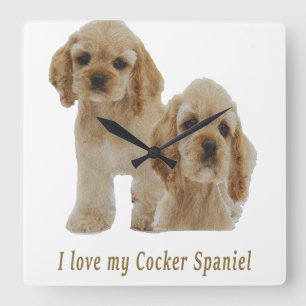 Carrée Horloge des chiots spaniels Cocker