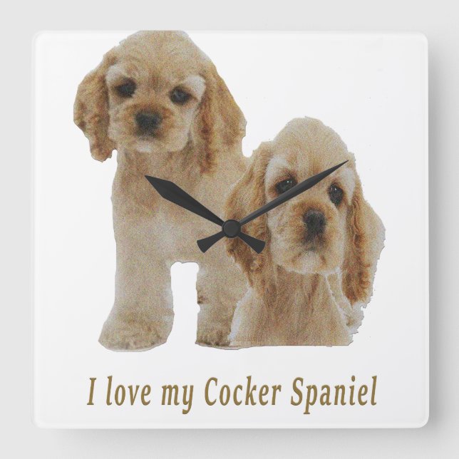 Carrée Horloge des chiots spaniels Cocker (Recto)