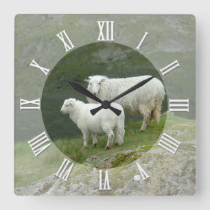 Carrée Horloge des fermiers, mouton écossais, Montagnes, 