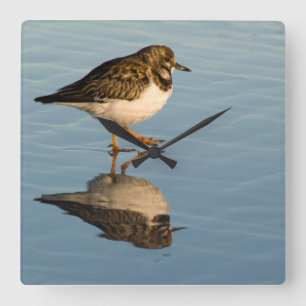 Carrée Horloge d'océan de réflexion de photo d'oiseau de