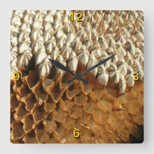 Carrée Horloge - Graines de tournesol
