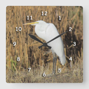 Carrée Horloge - Héron blanc