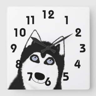 Carrée Horloge Husky