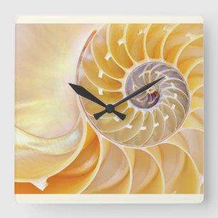 Carrée Horloge Mur Acrylique Nautilus