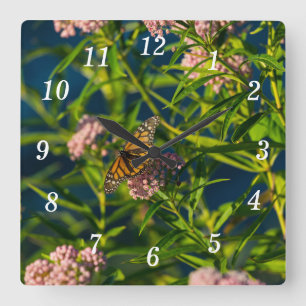 Carrée Horloge Mural Monarque Et Milkweed