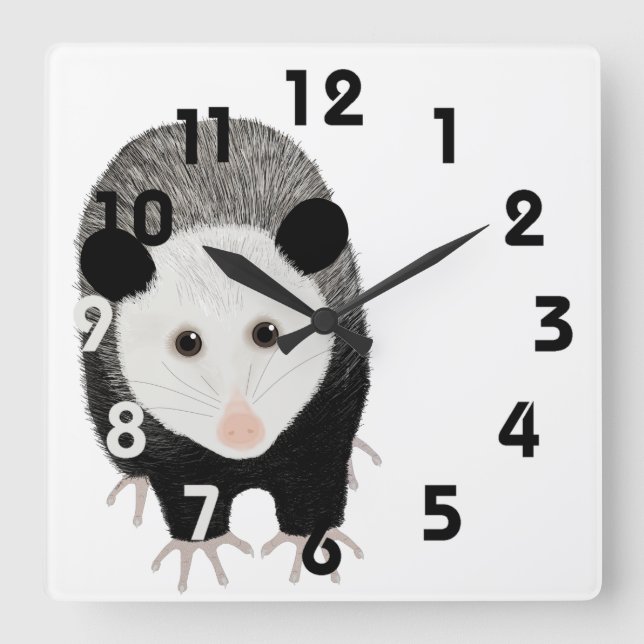 Carrée Horloge Opossum (Recto)