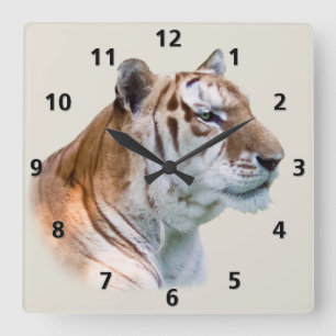 Carrée Horloge personnalisable de tigre
