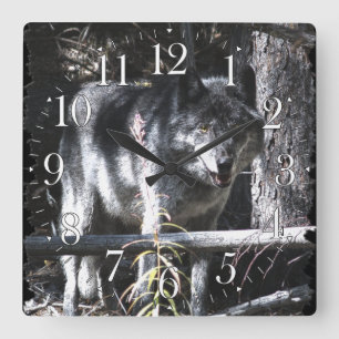 Carrée Horloge photo Gray Wolf & Forest