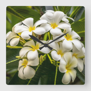 Carrée Horloge Plumeria de l'île Exotique