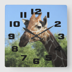 Carrée Horloge principale de girafe