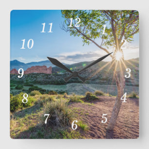 Carrée Jardin Des Dieux Arbre Sunburst Mur Horloge