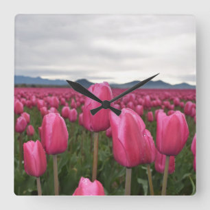 Carrée Tulipes roses Fleurs Mur Acrylique Horloge
