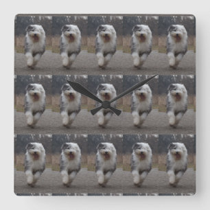 Carrée Vieille horloge anglaise carrelée de chien de