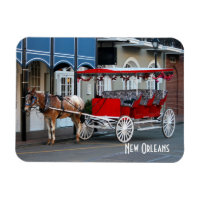 Carriage Ride New Orleans