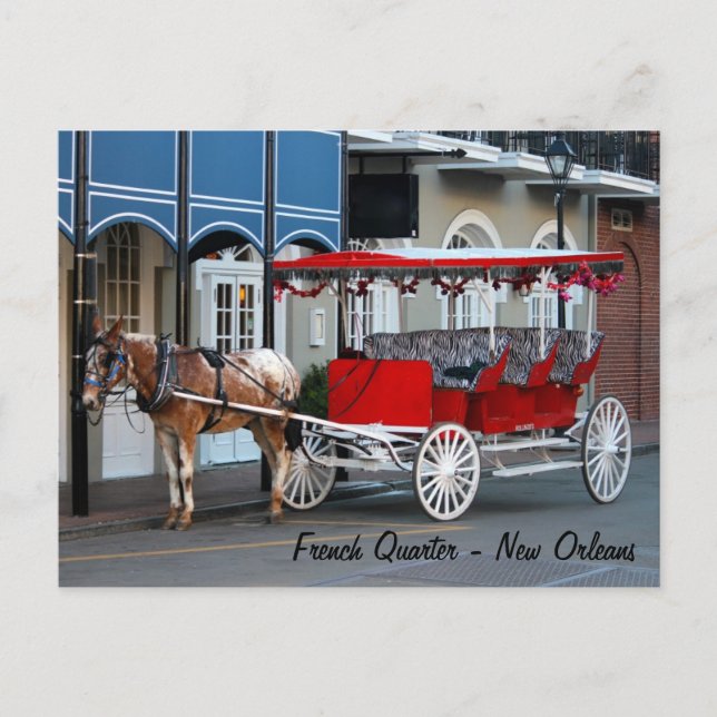 Carriage Ride New Orleans Postkarte (Vorderseite)