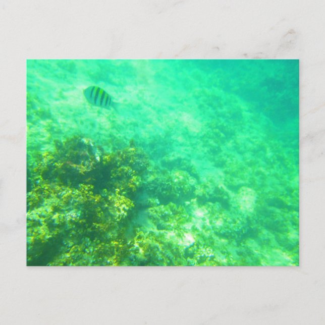 CARRIBEAN POSTCARD 2 POSTKARTE (Vorderseite)