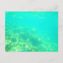 CARRIBEAN SEA POSTCARD 12 POSTKARTE