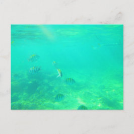 CARRIBEAN SEA POSTCARD 14 POSTKARTE