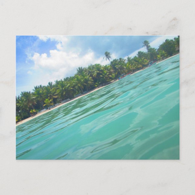 CARRIBEAN SEA POSTCARD 16 POSTKARTE (Vorderseite)