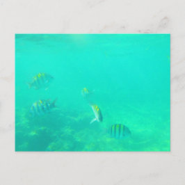 CARRIBEAN SEE #5 POSTCARD POSTKARTE