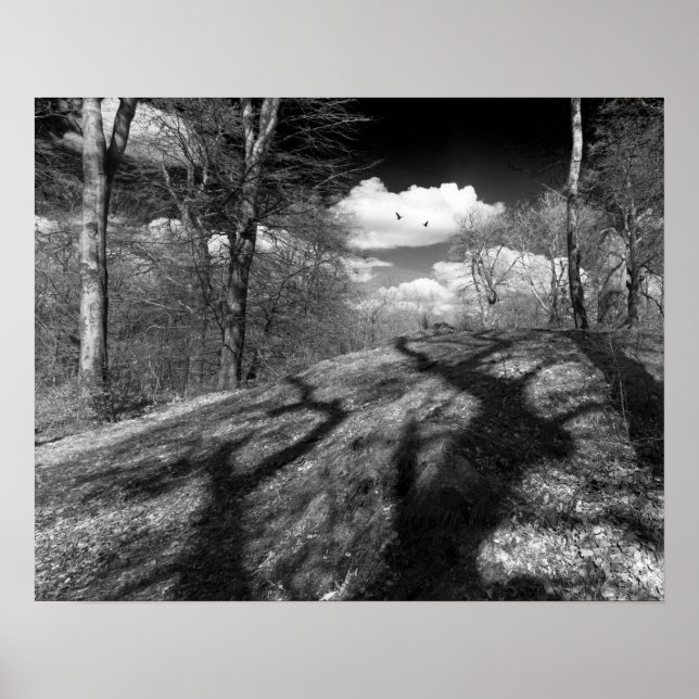 Carrion. Poster (Vorne)