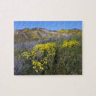 Carrizo Plain National Monument
